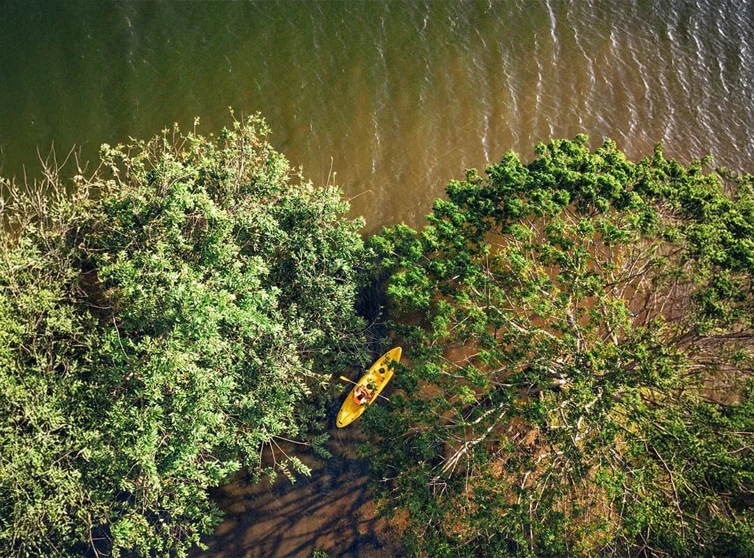 Aerial view of a boat on a tranquil river