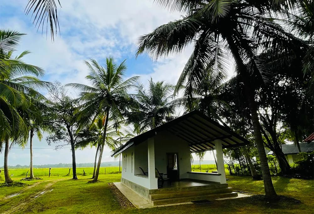A beautifully designed chalet at Governor's Collection Wilpattu