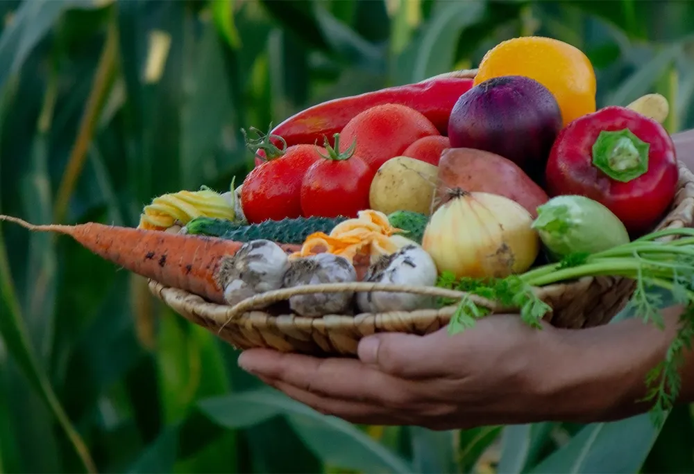 A chef preparing fresh, locally sourced vegetables