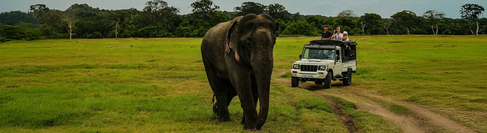 A traditional Sri Lankan dancer against a scenic backdrop